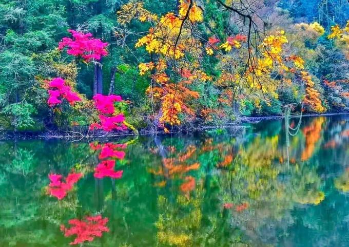逃离梦想花园