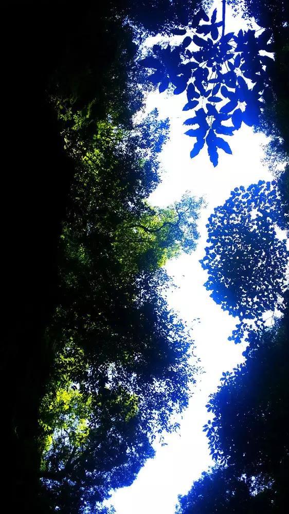10月28日巨蟹座、天蝎座、双鱼座星座运势游戏画面