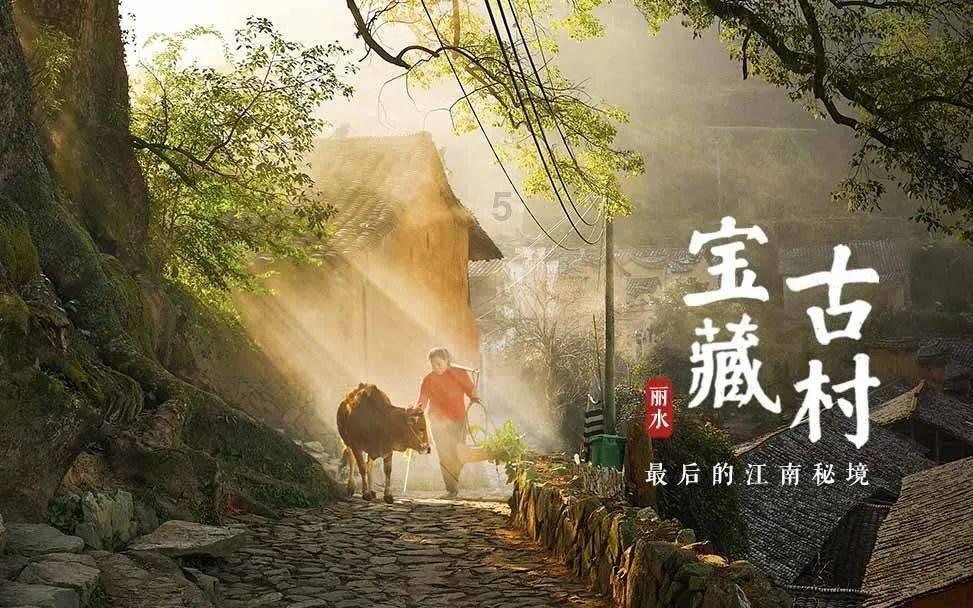 狐狸的旅程