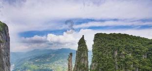 1.5岁的小朋友总喜欢乱丢东西如果你是早教老师如何和家长沟通?给相应的指导游戏画面