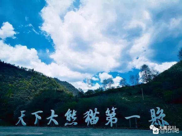 实力足球