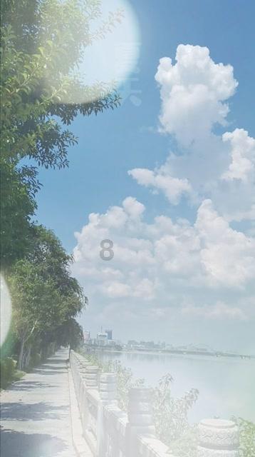 原始丛林找星星
